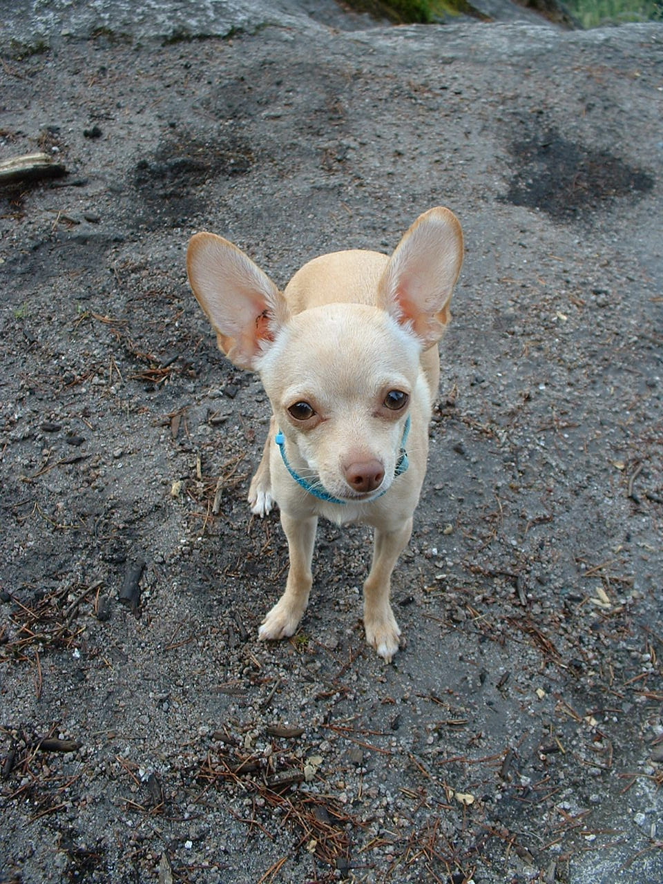 K. Snippets of Gratitude