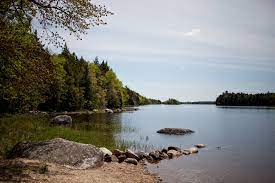 S. A Few Pinches of Native Soil&nbsp;(con’d)