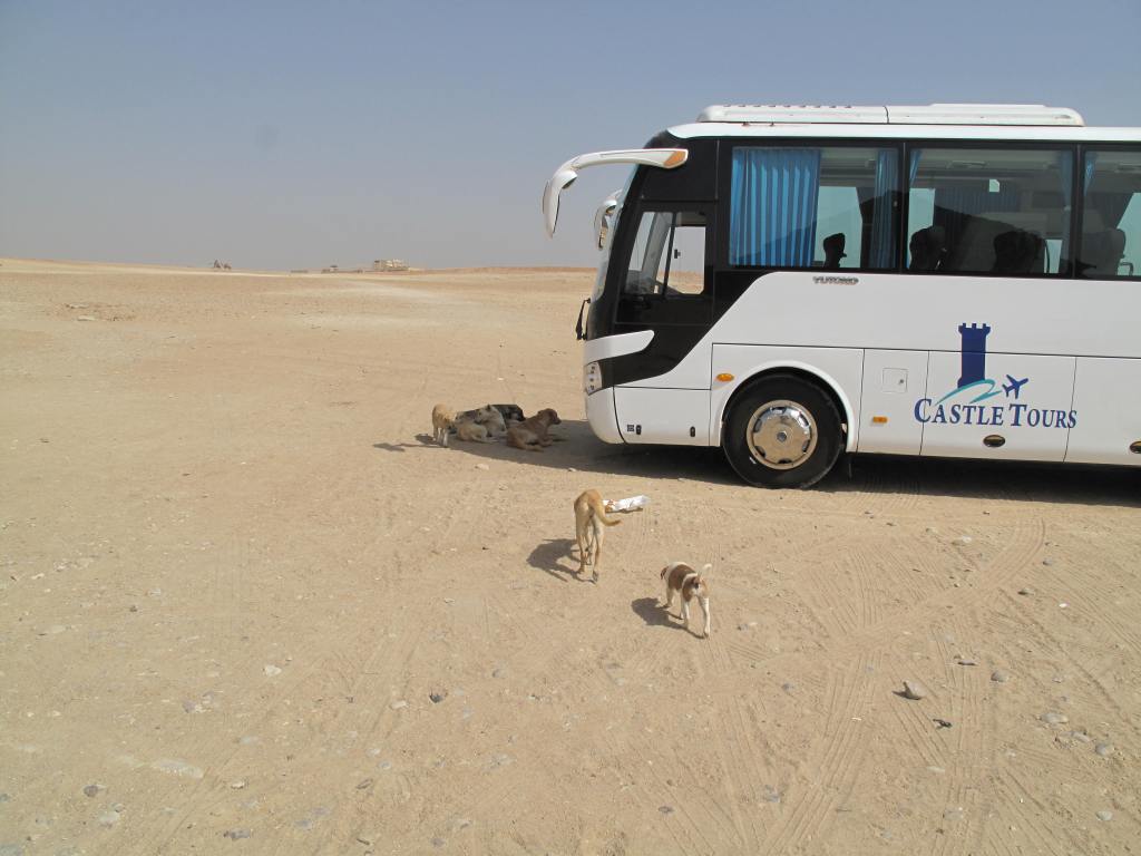 6. The First and Last McTour 