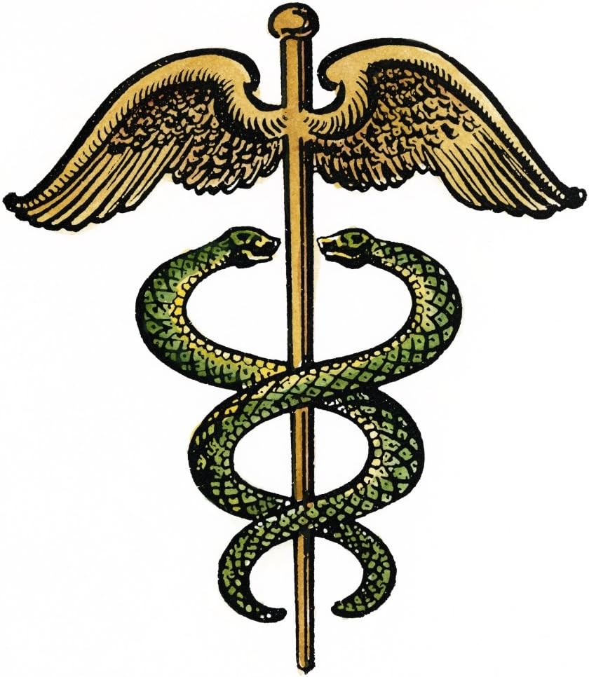 23. A Closer Look at&nbsp;MAiD